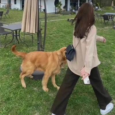 贝西的婚礼